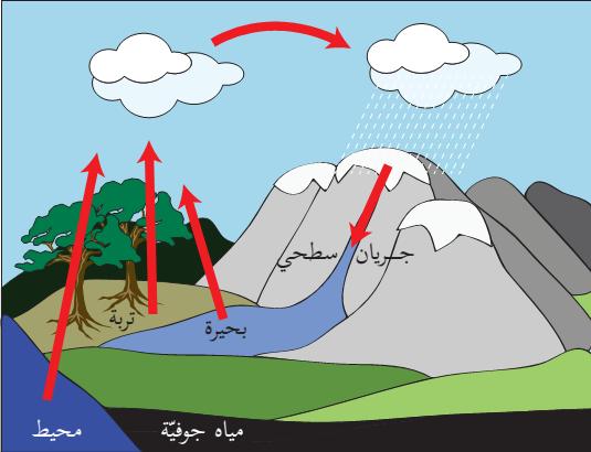 دورة الماء في الطبيعة عممية التبخر والتكاثف ىما عمميتان متالزمتان في الطبيعة أي أن دورة الماء في الطبيعة تتم فييا عمميتي التبخر و التكاثف.