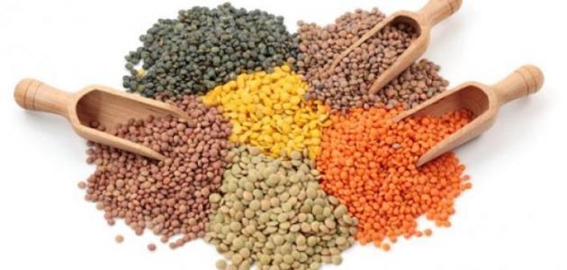 بذور خض ارء المون/ البازيالء. بذور بنية المون/ فول عدس عنب التفاح االسكدنيا أفوكادو.
