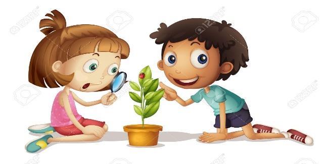 اربعا : مممس البذور: مممس البذور: البذور من تختمف حيث المممس حيث نجد البذور الخشنة والبذور الناعمة الجدول التالي يبين مممس بذور النباتات خشن جوز اليند
