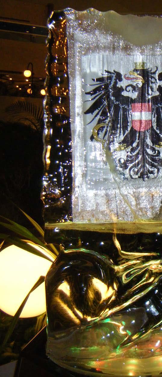 10 Events On the 27th of November 2011, under the patronage of Dr.