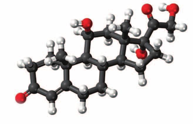)Tri-iodoThyronine( الهرمونات الببتيدية والربوتينية: تتكو ن من جمموعة من الأحما ص الأمينية وت سمل: هرمون )TRH( وهو الهرمون املحرر لإفراز الهرمون املحفز للغدة الدرقية )TSH( ويتكو ن من ثالثة اأحما ص