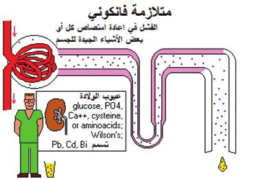 39 38 اأمرا ض الغ دد ال س م وال سكري لدى الأطفال الف سل الثاين: اضطرابات الكالسيوم وفيتامين )د( والغدة الجاردرقية يوؤدي اإىل زيادة اإفراز العديد من الهرمونات واإىل منو غري طبيعي بالعظام وت سبغات