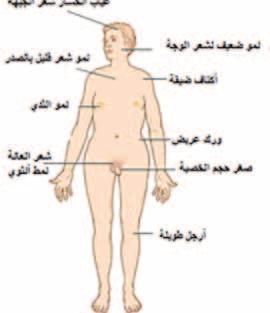139 138 اأمرا ض الغ دد ال س م وال سكري لدى الأطفال الإناث يكون لديهن انقطاع الطمث الأو يل بالإ سافة اإىل العقم ولكن يف بع ص الأحيان ميكن اأن يحدث احلي ص ثم يليه بعد ذلك ف سل املباي ص املبكر.