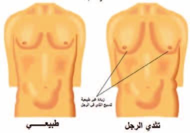)Pseudo هرمون الإ سرتوجني يحفز تطو ر القنوات الثديي ة يف كل من الذكور والإناث. الهرمون املحو سل والهرمون امل سفر من الغ د ة النخامي ة يحفزان الربوج سرتون وبالتايل تطور احلوي سالت يف الثدي.