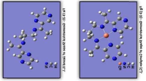the stable geometrical shapes are square planar (according to bond frequencies) which represent similar to that of the native Cu/Zn SOD1.