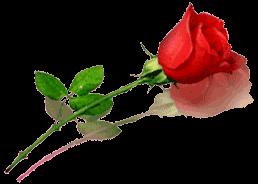 ا زبة ٯؾز ه ز بد ج ٦ ه ٢ ه [] ٣