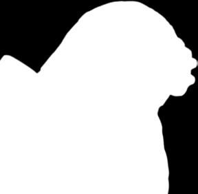 ويدل عليه: حديث عبد اهلل بن زيد يف ص فة وضوء الن بي وفيه:»ب د أ ب م ق د م ر أ س ه ث م ذ ه ب هب ام إ ىل ق ف اه ث م ر د ه ا ح ت ى ر ج ع إ ىل امل ك ان ال ذ ي ب د أ م ن ه» ))).