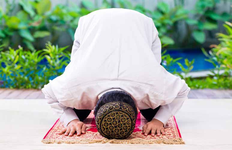 رابعا : وقت الظهر فيه ع د ة أمور: سنن الظهر والعصر األمر األول: صالة س ن ة الظهر القبلية والبعدية.