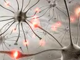 NEUROPATHIC PAIN Neuropathic pain is usually caused by abnormalities in the neural structures themselves.