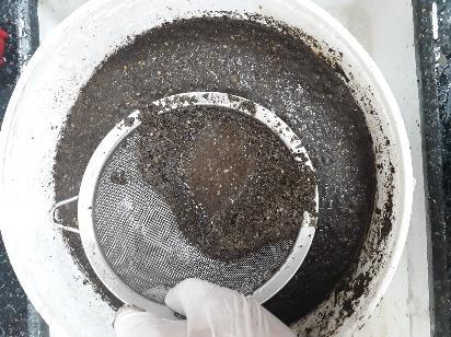 In this section, we will explain the procedures followed to manufacture the AC from crushed OS. 3.3.1.1. Olive stone collection and pretreatment As stated in Section 2.5.