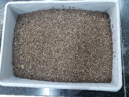 The sample of OS were collected from the Alasar olive mill in Gaza City.
