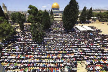 و ح د ة العبادات وال أحكام والش رائع: فجميع المسلمين يؤد ون العبادات والش عائر نفس ها ويحتكمون إلى شرائع و أحكام واحدة في شت ى جوانب الحياة.