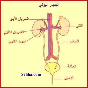 غ ح ظوخ ح ؼي ١ ش ح ظ ح ر ٤ ح ظ ٣ 9. أػي أى حطي 11. حه غ ح ولخ أؿ ٣ ي ٣ ي 11.