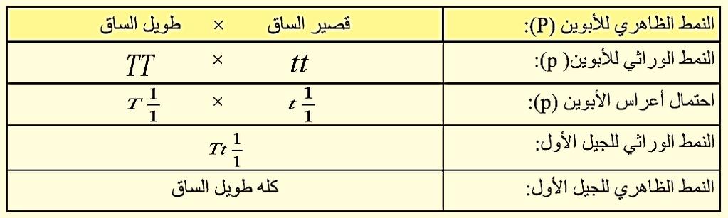 تفسير تجربة مندل على نبات البازالء عن