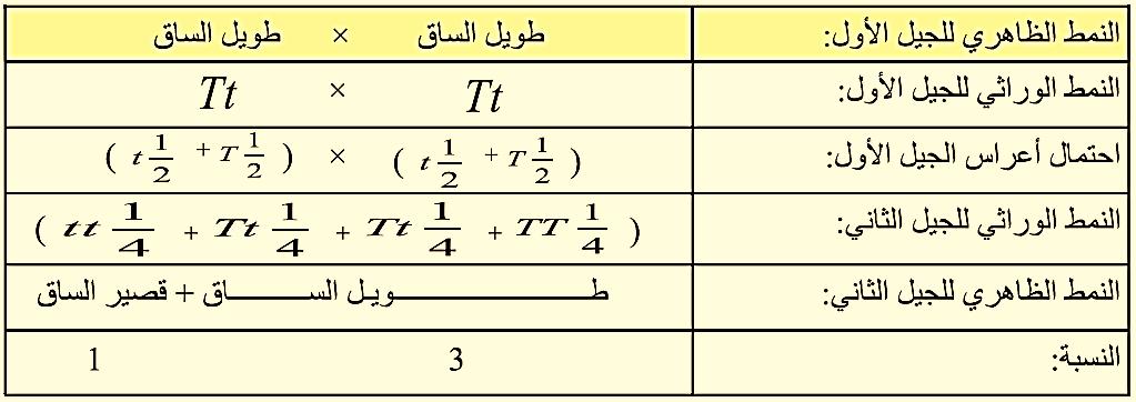 األبين للحصل على الجيل األل 2- التهجين
