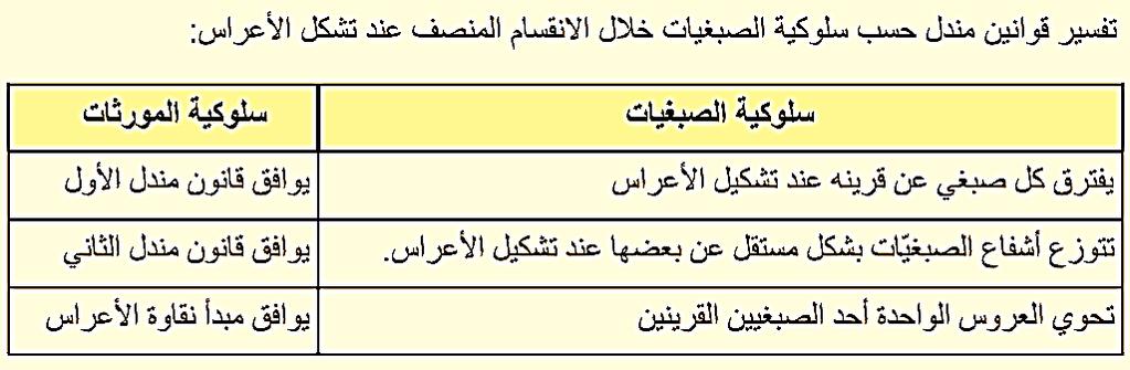 النظرية