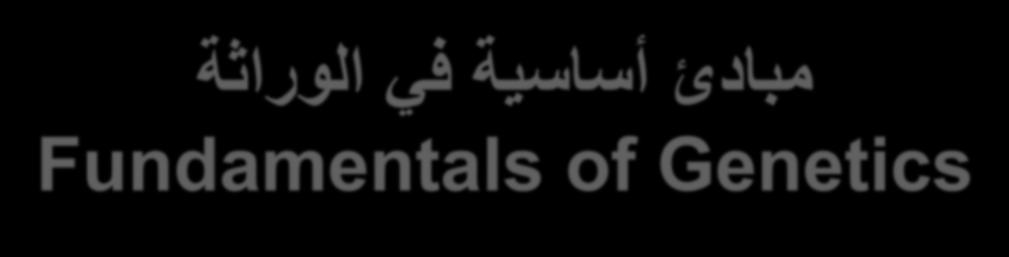 مبادئ