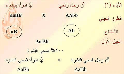 aabb AABB