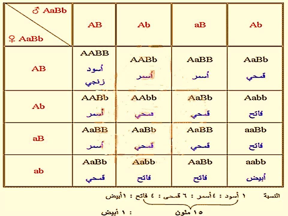 ab aabb