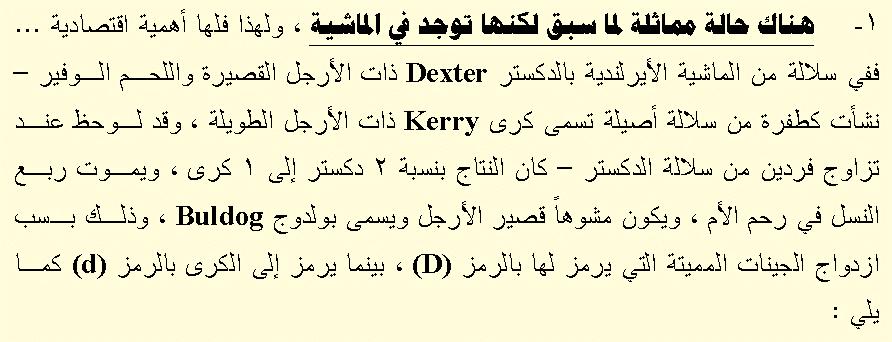 البلدج