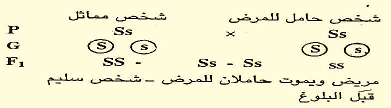 انطاء الكريات الحمراء تقسها على شكل هالل أ منجل, فال تتمكن من حمل األكسجين في التنفس, مما