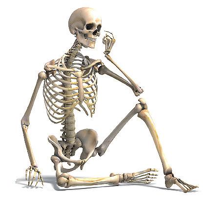 الجهاز الهيكلي The Skeletal System الفصل ال أول 1 لقد وهب الله تعالى إ ال نسان كغيره من الفقاريات هيكلا داخليا