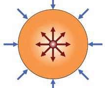 نجم أولي تبدأ حياة النجوم جميع ا من السديم Nebula وي ع د اكتشاف ه أحد أهم األدلة على وجود دورة حياة للنجوم إذ ت مث ل الس د م الحاضنات التي تول د فيها النجوم.