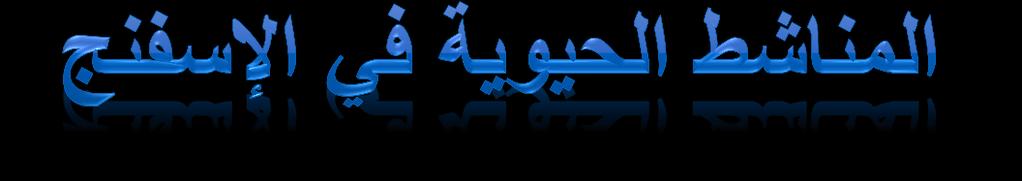 1 -تيار الماء - 2 االغتذاء - 3 التنفس - 4 التكاثر Link for structure and
