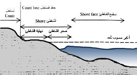 الفشاغبث السيبحيت