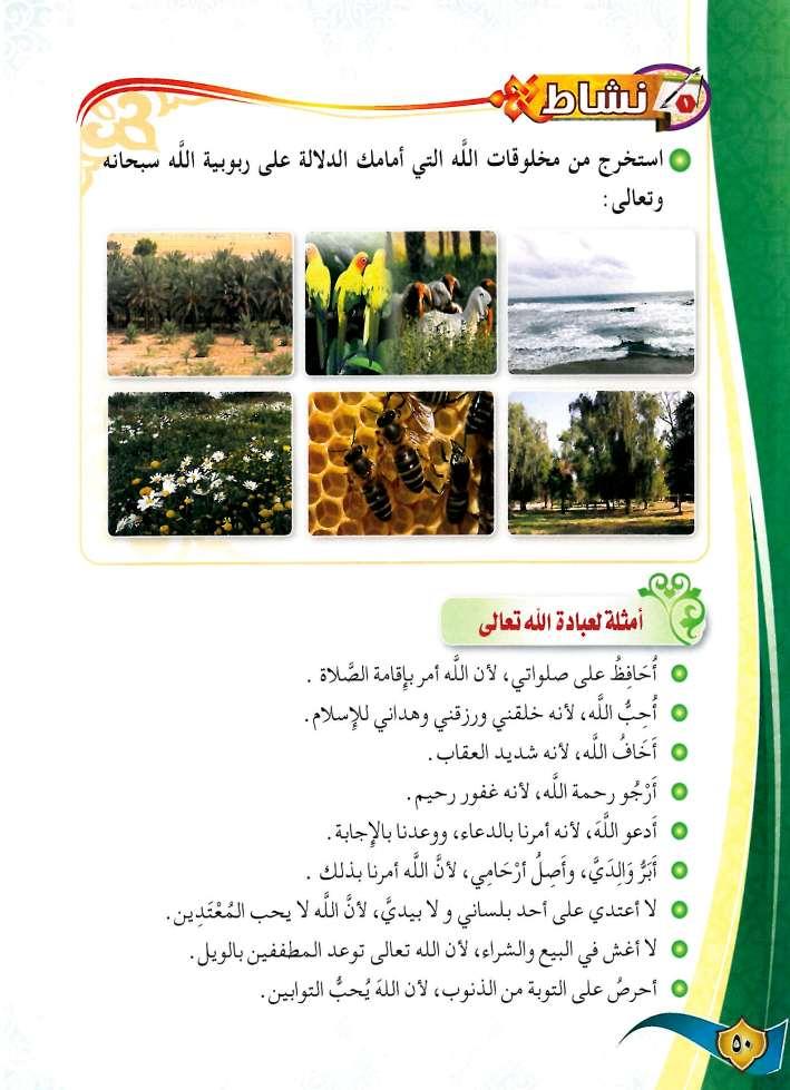 البحار الطيور األشجار