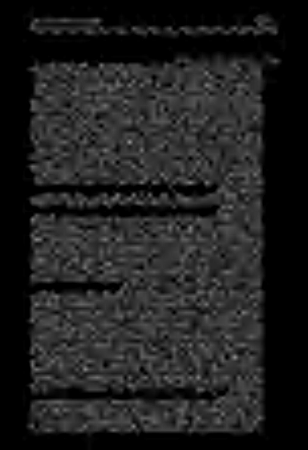 سيل امكح ناويحلا يف ةمكاحلا ةسيئرلا يهو.