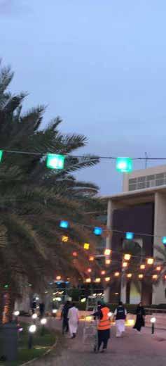 الجهة : جامعة