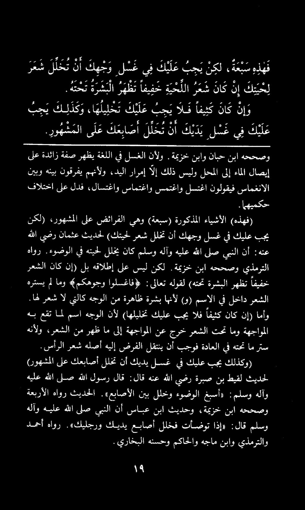 ساس سيب ه 8.