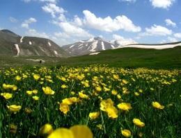 ال٥ )٨بص٨ك١ي( ةآ ك١ ٨بصوآ ىكا ٨بص لنآاؽ ٨بصدن ؿ