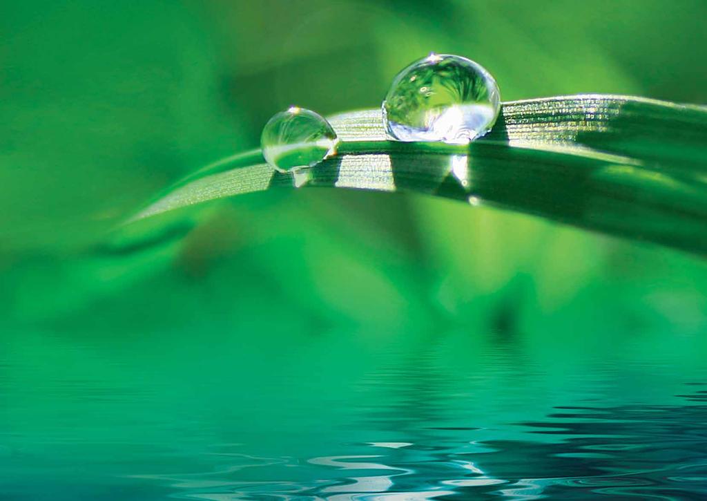 Our Innovations Save Energy and Serve People Caparol s business priorities have always included finding solutions that best adhere to the growing concerns over the environment we live in.