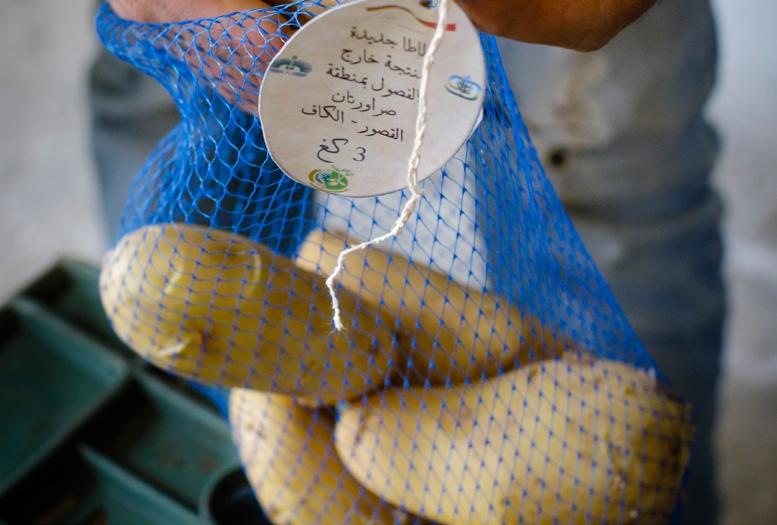 تثمين المنتوج 09 يتم تقليع المنتوج خالل شهري سبتمبر وأكتوبر حيث تتزامن هذه الفترة مع ظروف مناخية مالئمة انخفاض في