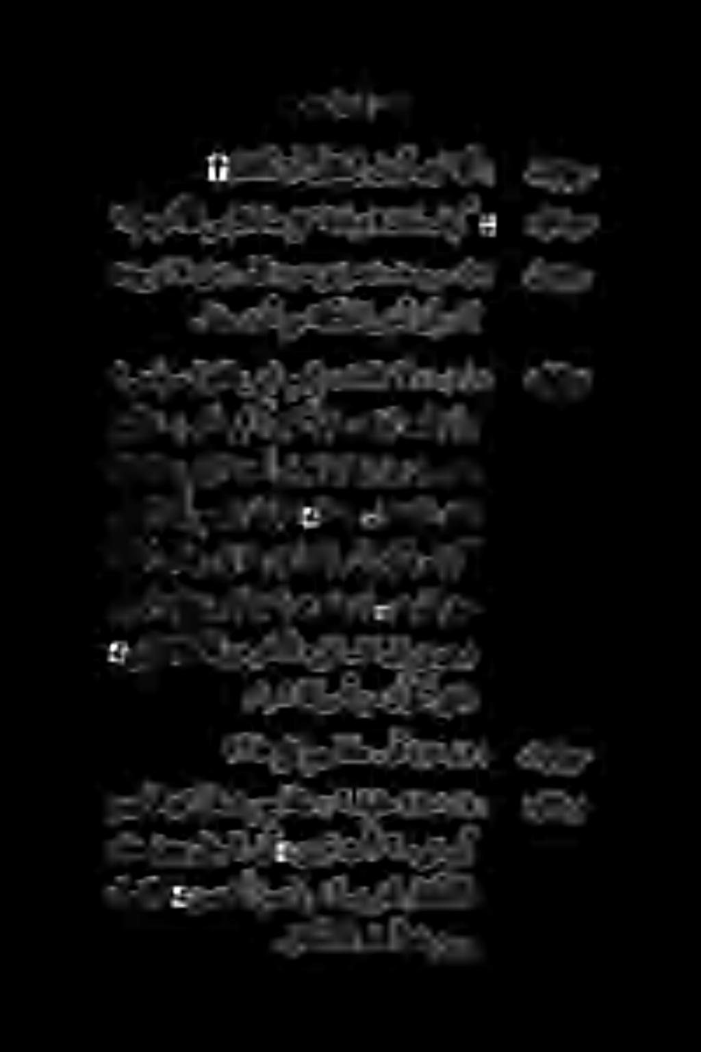 ىحارس اوقلطي ةدئاق ال بع) («ح زع الهیمن).