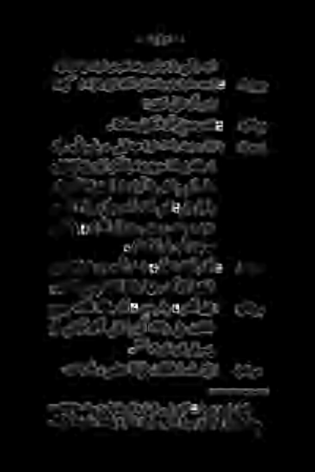 .(طاببضلا نم نابشلا ضعب كمضیو «مینممغرلاب مينفبامستیب. ةتماص ىنوكت ردقت نآ ( س ۲۲ 1 اسس نب وحرب دراشر روجاماي» نآلا (دراثير سلجيو» كلذ ضيواجلا.