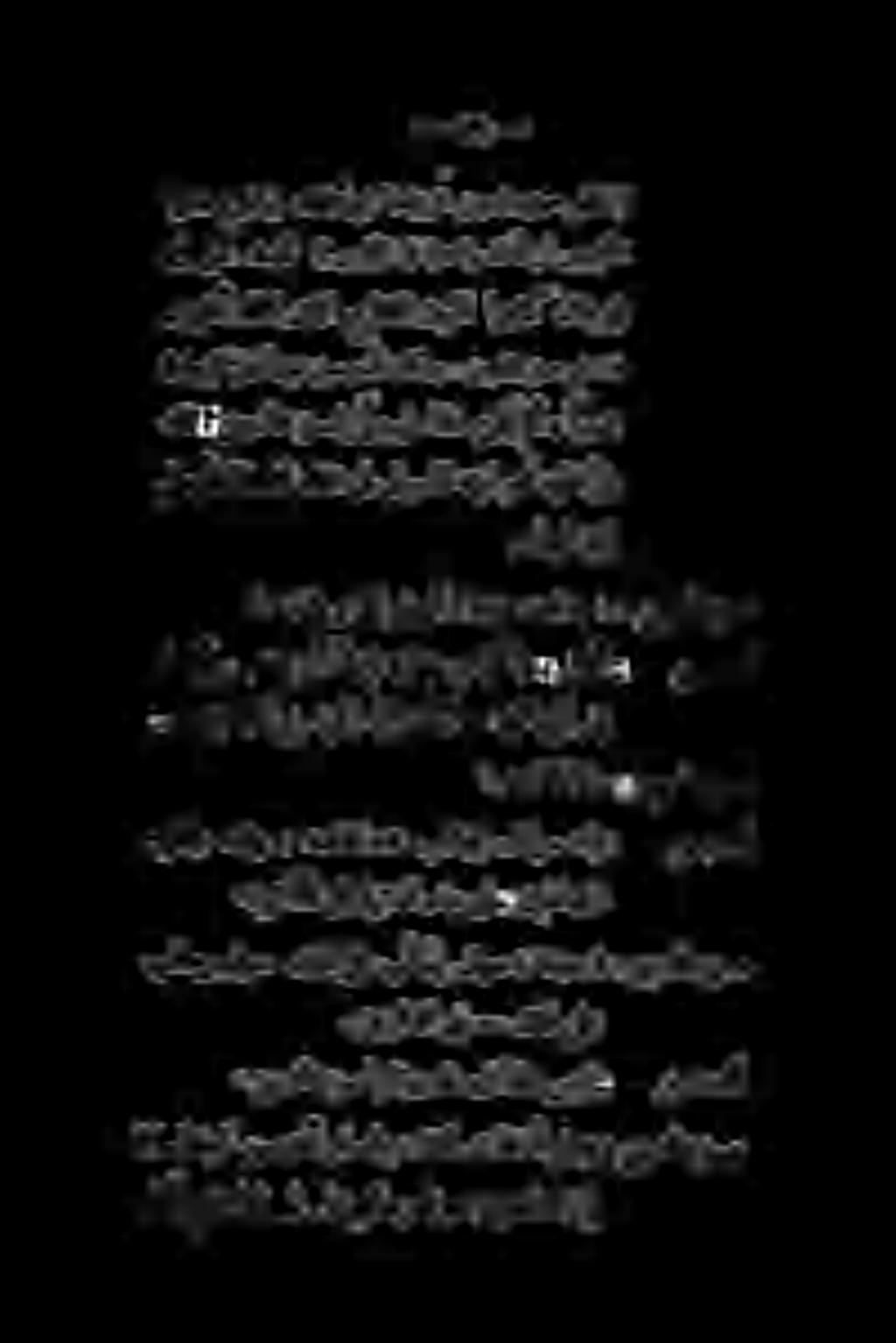 نإ نيدساقلا فوس نوبقاعي.