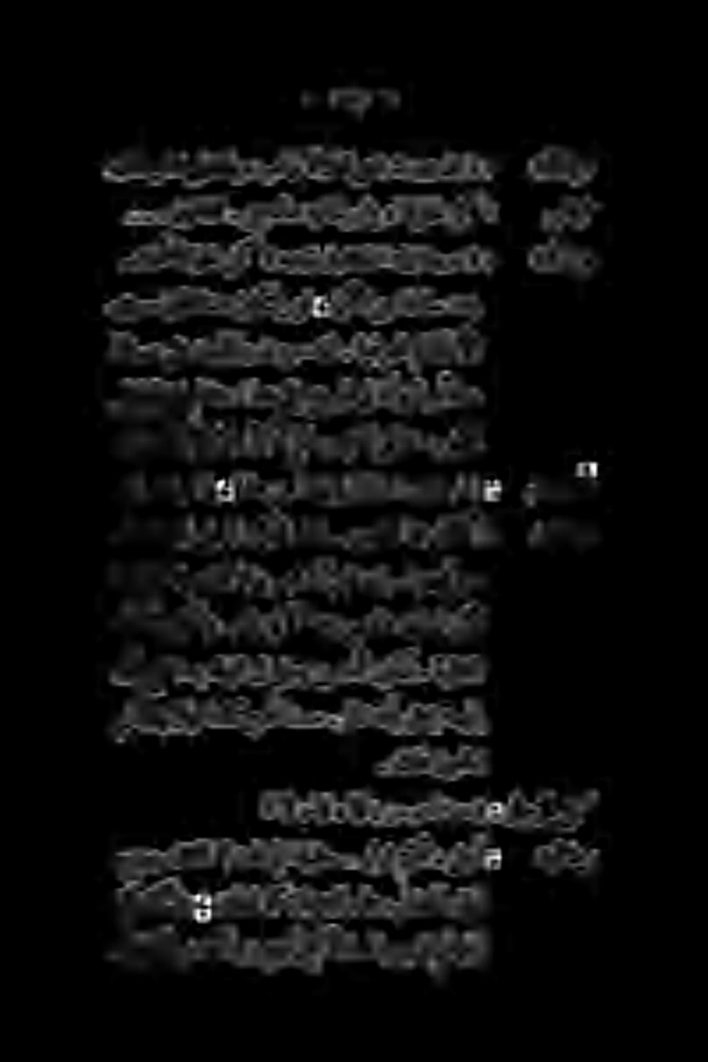 ةفاسم ىلع دونجلاب تررم دقل. ةيفرعلا ماكحألا متتأو راوثانلكنحمانسح. رئاث هنأبقحي مهن هئلثم نكلو ۱ ةج ک ةمج نچداد ةلئاعل نال نأ عيطتسي دلبلا ىف لجر نسحآ نوکش- ةيلاتلا.