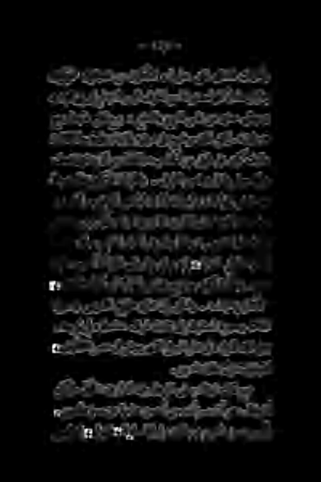 بس ۲».. نچداد رسم نم ةرشع خا نسردنآرسم نآ وه. لش نآ.