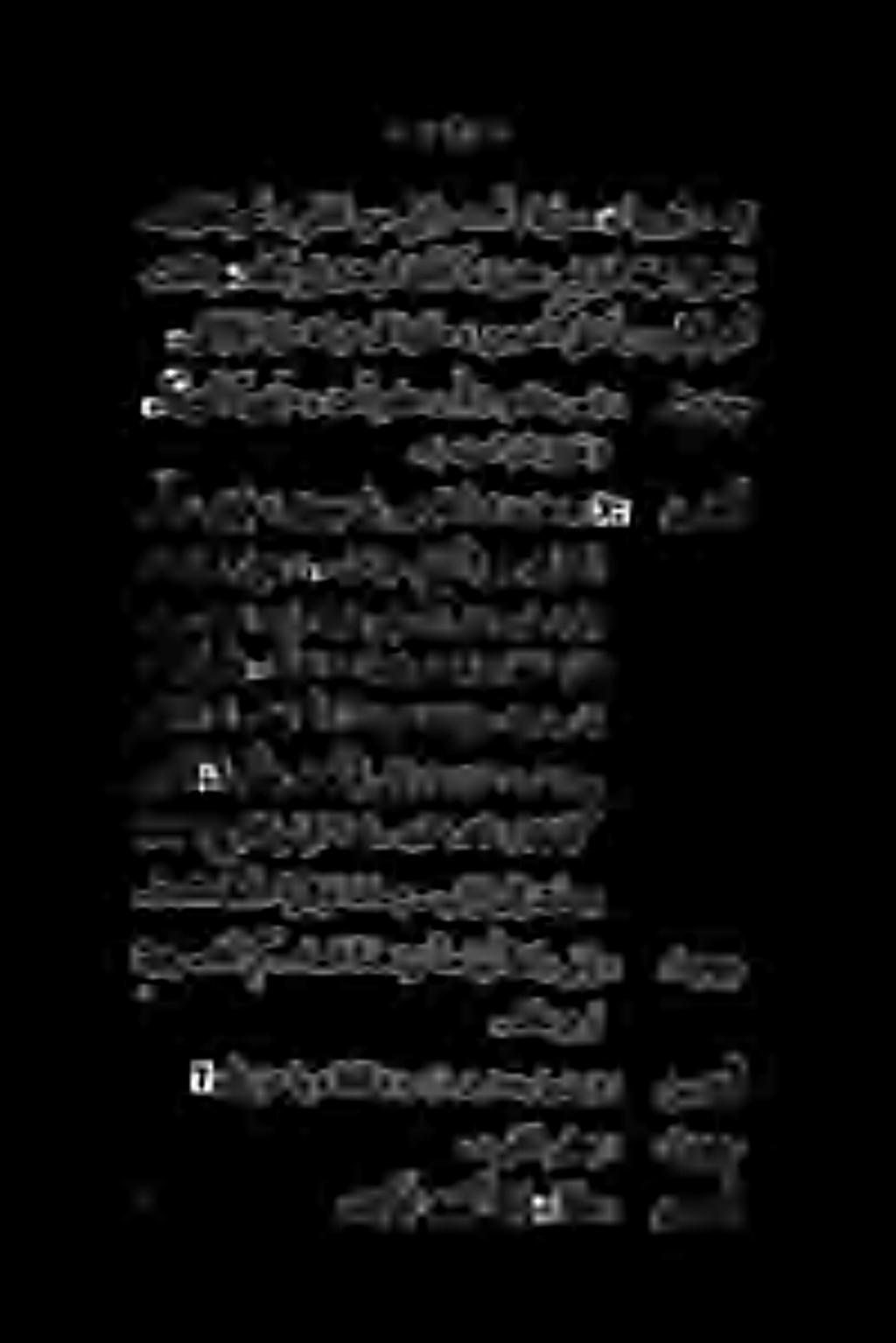 . ) هنضتح نآلواحم ( للبلاب ةثيلم ةءابع ىف ظوفلم» نسردنأ لخدي. تفتلتو» ءاکب ین تشبنا امنأك» ةريغص حايترا هعيش لسرف. لزتلا وحتغرطلا نم لباو تعع «اعرسم» اهجوز» هیف 6 تب.