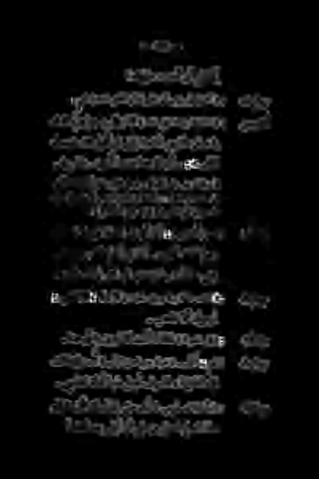 یف اهمتيس دق كلذ دس ۳1 نآ ى نب ردتنت له» اذه للوقت نأ كل لو وا! بذعت (ةقأب) دراشير. ىبذعتل ةادأ املهلل فوسلف» ةقيقللا كل.تلق نإءمأ ) ثیدوج معن»...انأ ( كرفت اهيدب نم سأيلا.