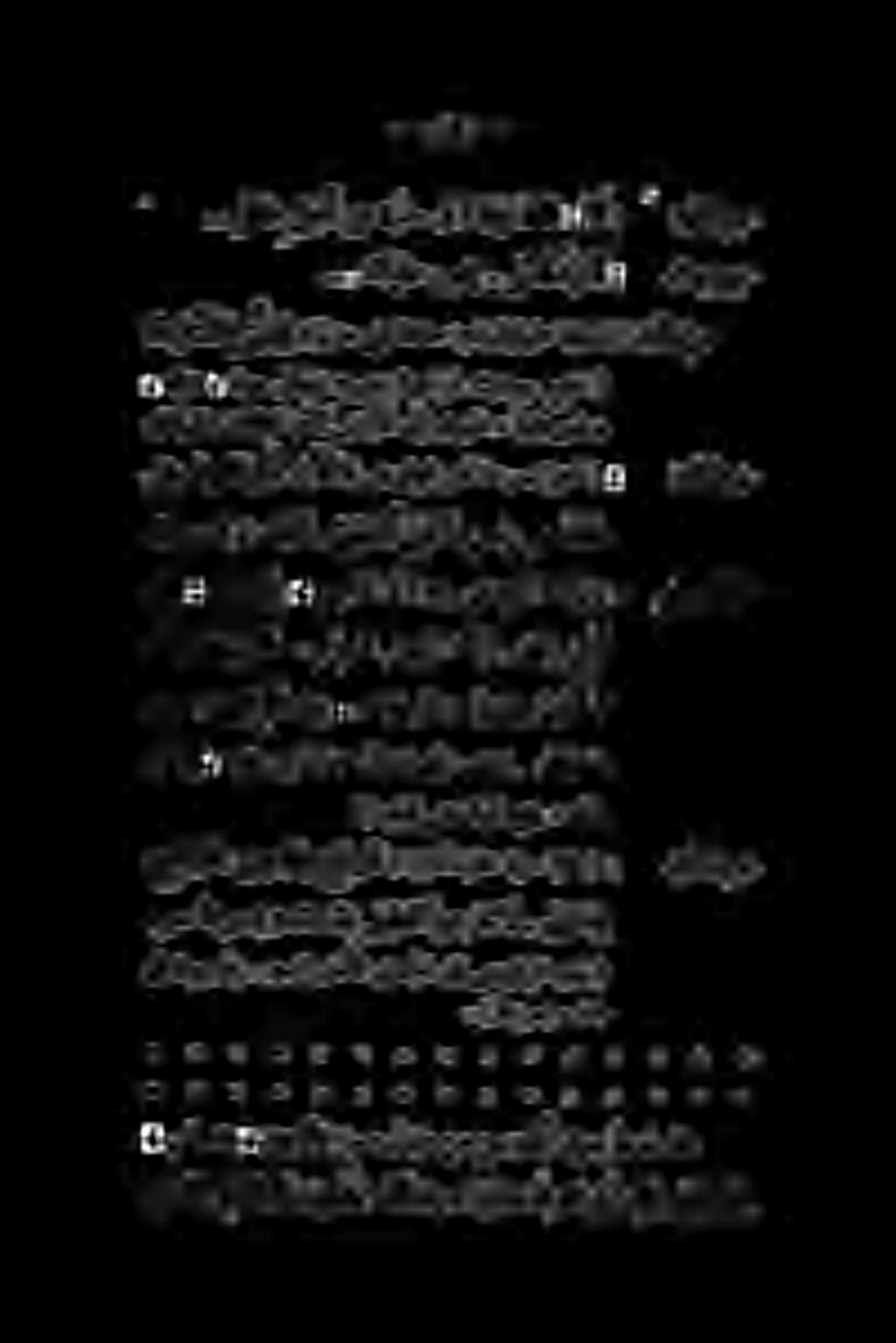 نأ ىغبني ناك ٠ عاجش لجرا كنإ.