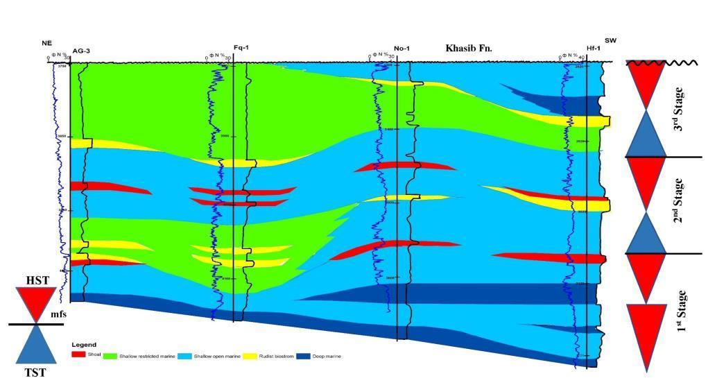 Stratigraphic Development Stratigraphic development of the Mishrif succession in the studied oil fields was summarized by three depositional stages during the period from Cenomanian-Early Turonian