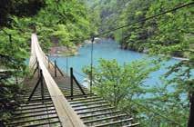 وادي سوماتاكيو / محافظة شيزوؤكا مكان ذو جمال طبيعي يشتهر بالجسر المعروف باسم يومينو-تسوريباشي )جسر تعليق األحالم( الذي يمتد على طول النهر األخضر الزمردي الرائع الذي يجري أسفله.