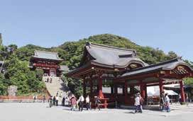 ضريح تسورو غاأوكا هاتشيمانغو / محافظة كاناغاوا تقع يف وسط كاماكورا وهي مدينة تعد وجهة سياحية شهيرة.