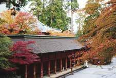معبد هيئيزان انرياكوجي يقع المعبد على جبل هيئي وهو المعبد التأسيسي لبوذية ماهايانا اليابانية.