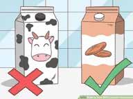 Here are some tips for dealing with lactose intolerance: Choose lactose-reduced or lactose-free milk. Take a lactase enzyme supplement just before you eat dairy products.