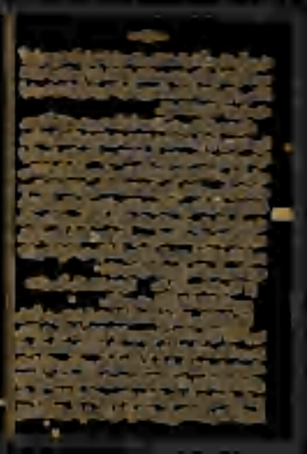 اهيدبب هاعرت لزأ ملواابيرغ اريقفاميتي همأ هتلفك كلذلو ل يلقب ىعفاشلا.